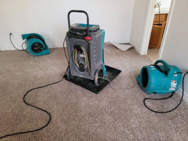 Professional Water damage restoration in Kingsville, MD