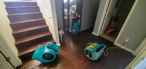 Best Professional water damage repair  in Kingsville, MD