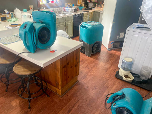 Best Water damage contractors near me  in Kingsville, MD