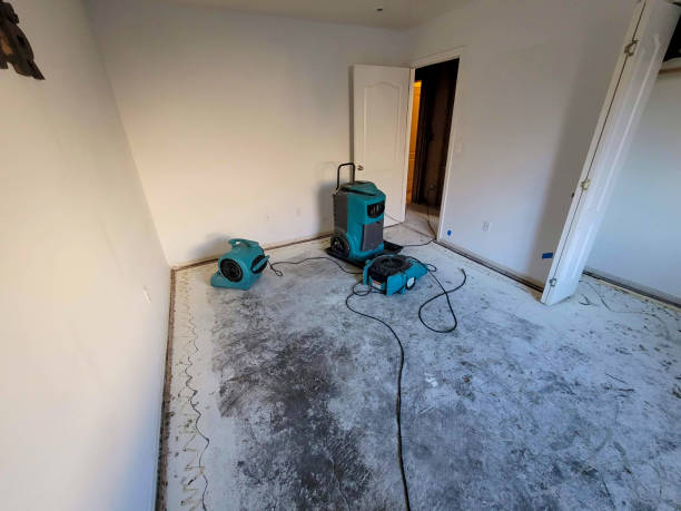 Best Residential water damage restoration  in Kingsville, MD