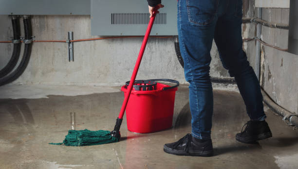 Best Flood restoration services  in Kingsville, MD