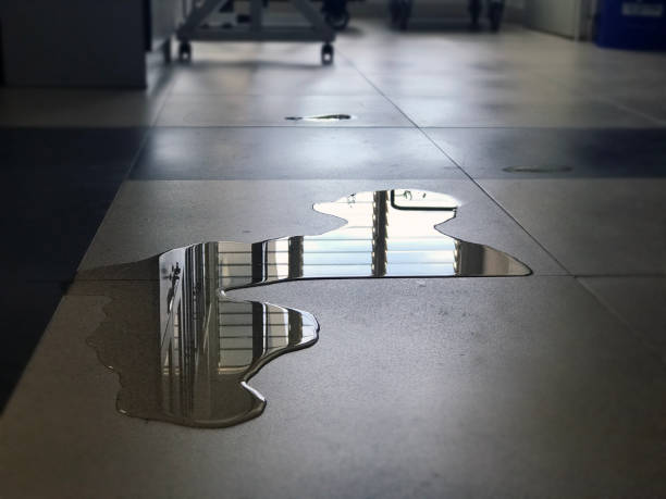 Best Water damage restoration company  in Kingsville, MD