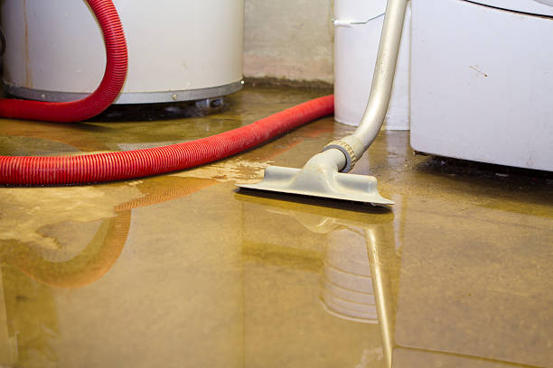 Best Water damage restoration cost  in Kingsville, MD
