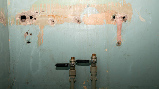 Best Flood damage cleanup  in Kingsville, MD